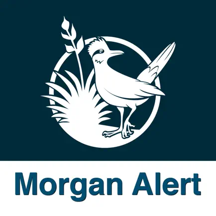 Morgan Alert Читы