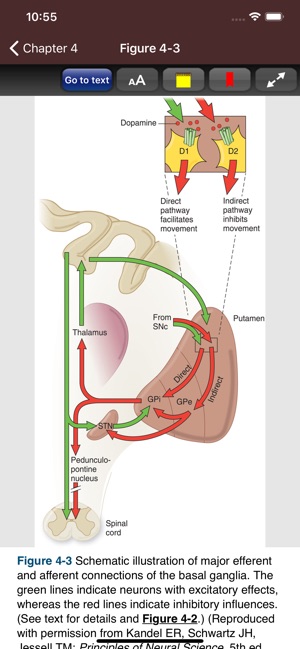 Adams & Victor's Neurology 11e(圖7)-速報App