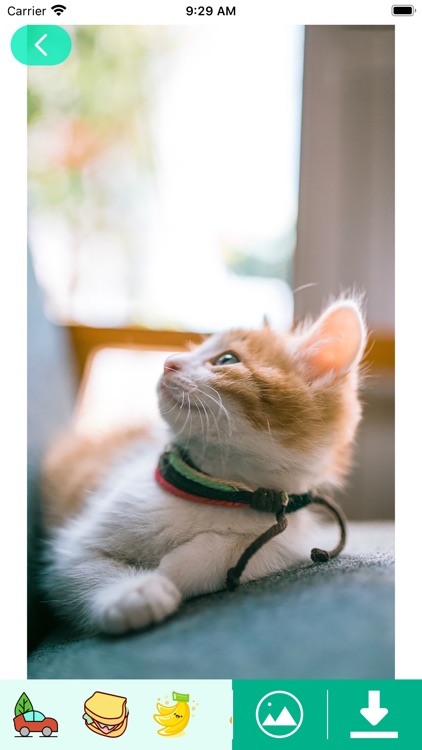 CC-Creative Collocation screenshot-4