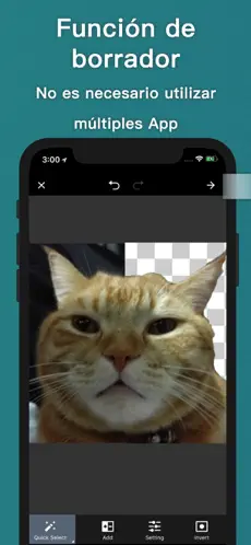 Captura de Pantalla 3 WSTicK iphone