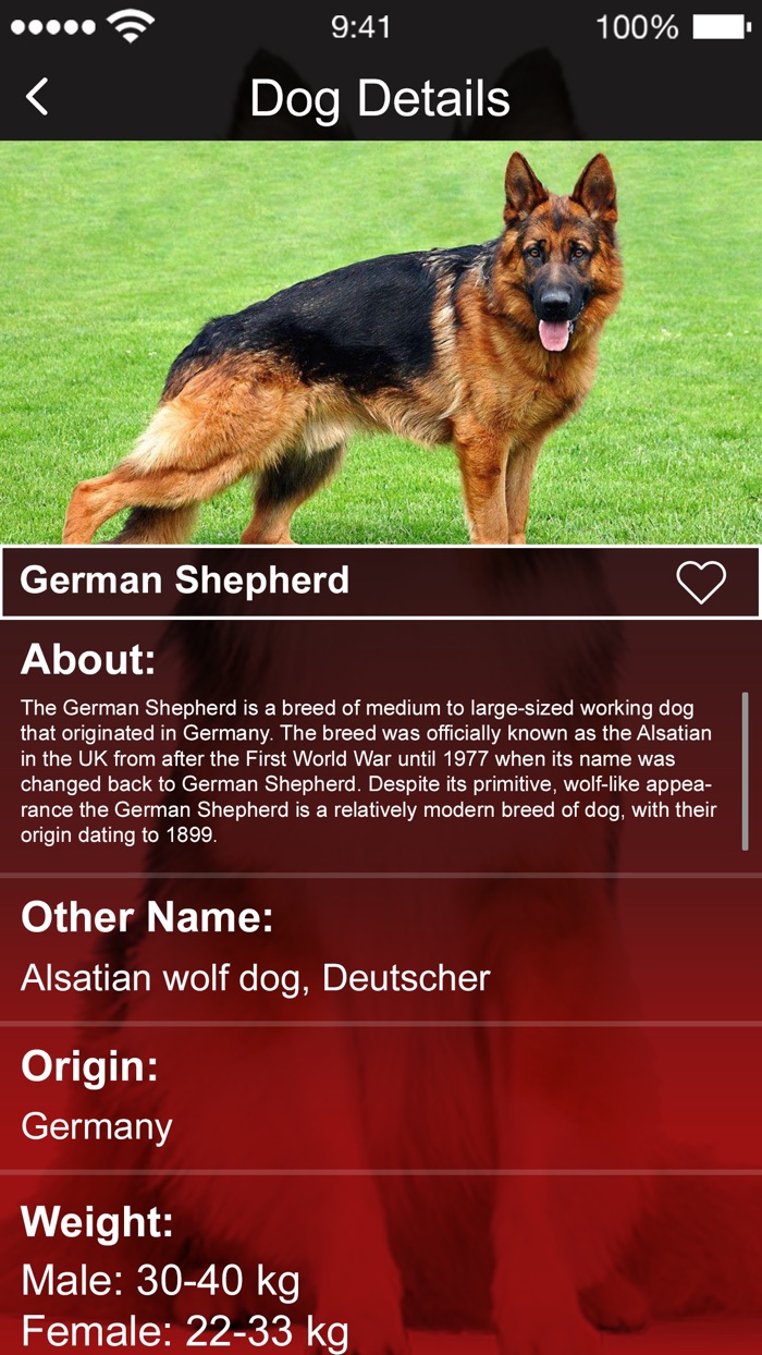 狗 吠 声音 按键 2020