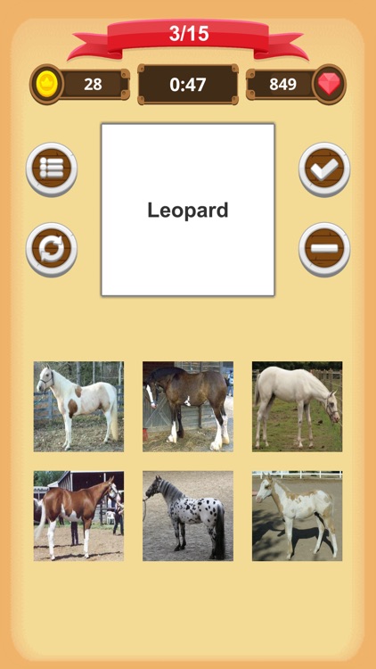 Horse Coat Colors - Quiz screenshot-6