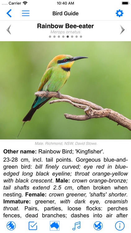 Pizzey&Knight Birds Australia screenshot-4