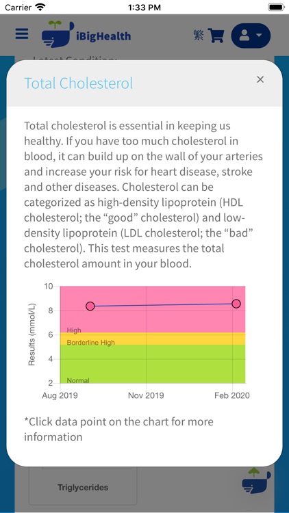 iBigHealth