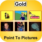 Point to Pictures - Gold