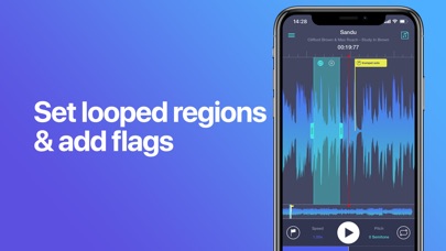 【图】Transcribe+ Slow Down Music(截图2)