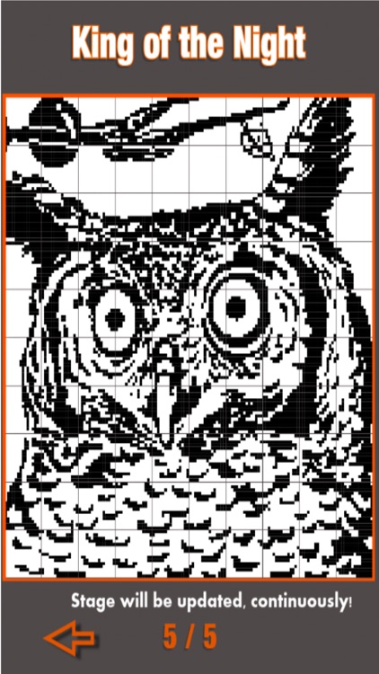 Pictures Nonograms / Picross screenshot-3