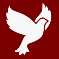 Passport - Project Mercy PC 용