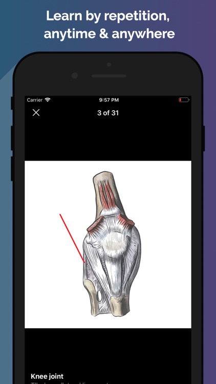 Easy Anatomy - Atlas & Quizzes screenshot-7