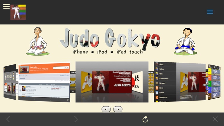 Judo Gokyo screenshot-8