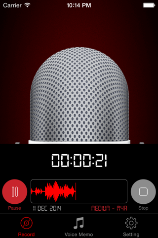 Voice Recorder HD Pro screenshot 4