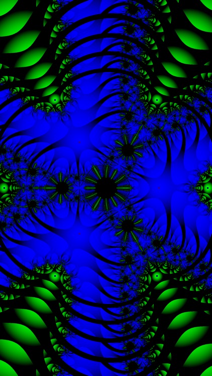 Poly Z Vision:  Rings