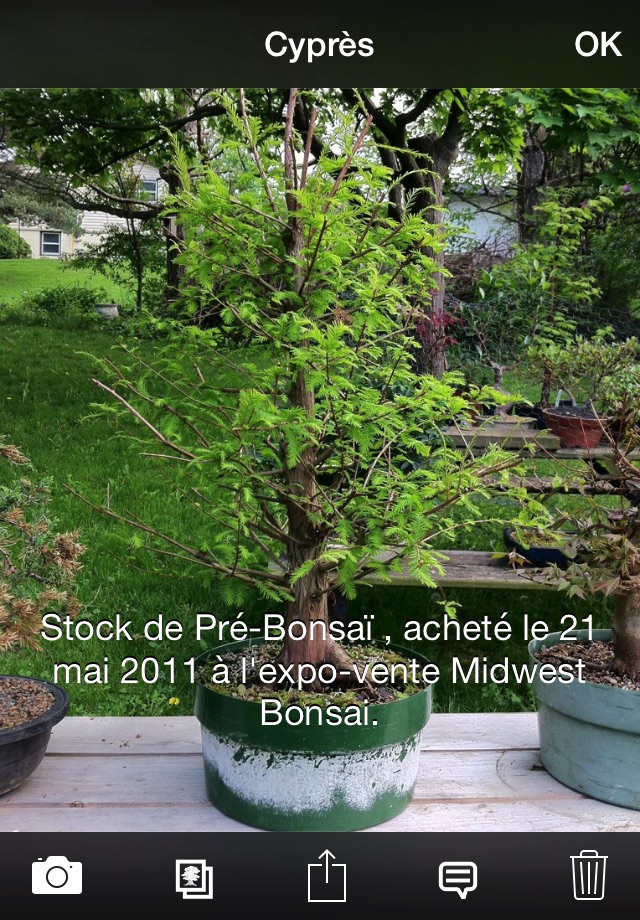 Bonsai Album Lite screenshot 3