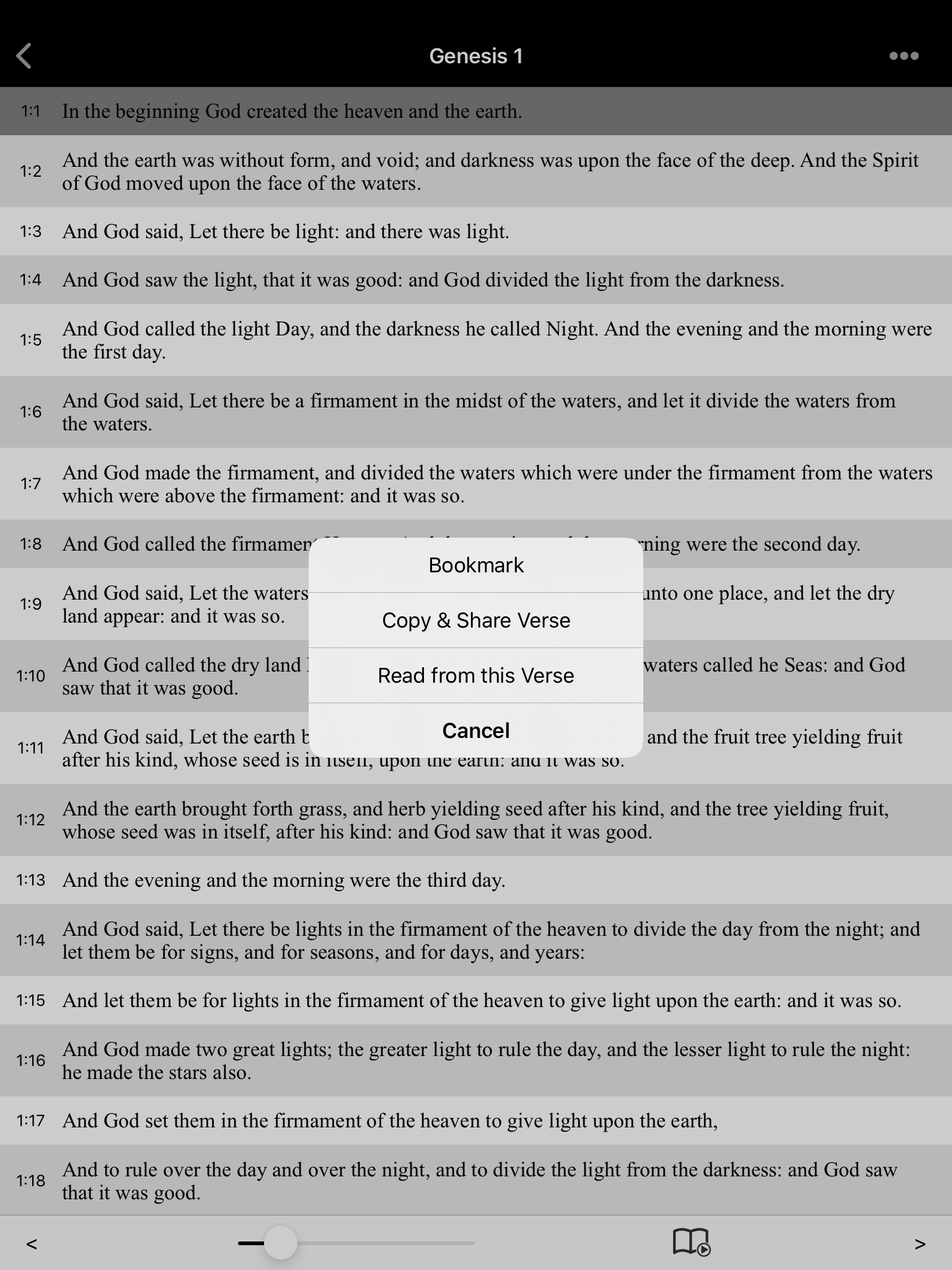 Bible-Simple Bible HD (KJV) screenshot 3