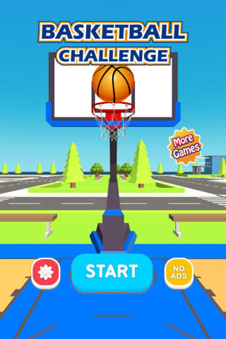 Basketball Challenge 3D - náhled