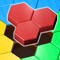 Icon Block Hexa Puzzle: Wooden Game