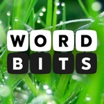 Word Bits A Word Puzzle Game