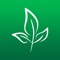 Enjoy learning the conjugation of German verbs with this app