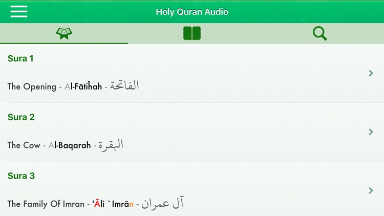Quran Audio mp3 in English screenshot-7