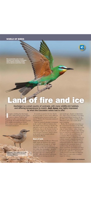 Birdwatch Magazine(圖6)-速報App