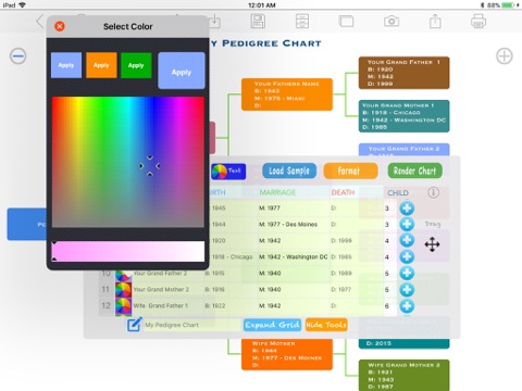 Pedigree Chart Maker screenshot 4