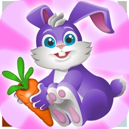 Funny Bunny Adventures