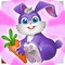 Funny Bunny Adventures gives lots of fun