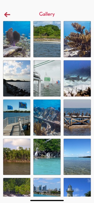 Biscayne National Park Tourism(圖4)-速報App