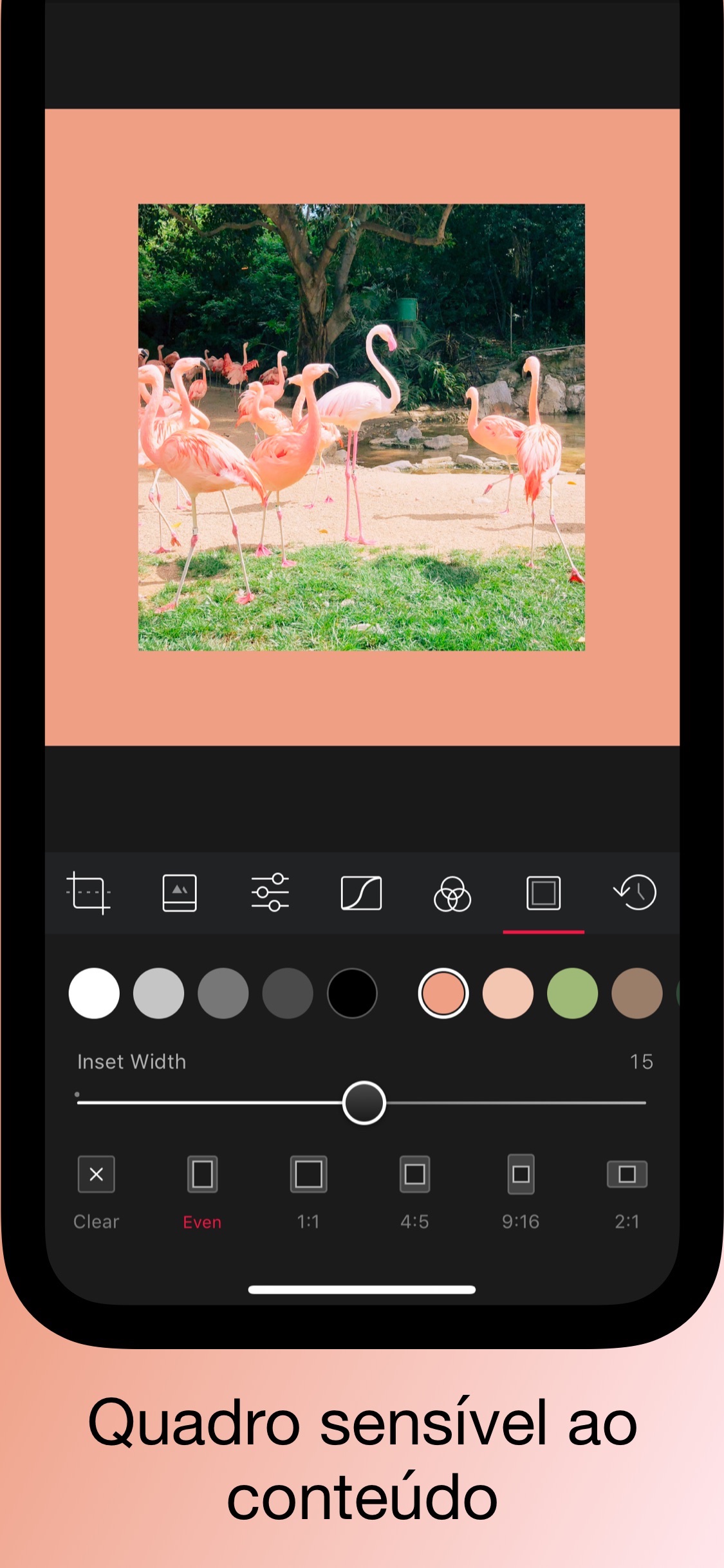Screenshot do app Darkroom – Photo Editor