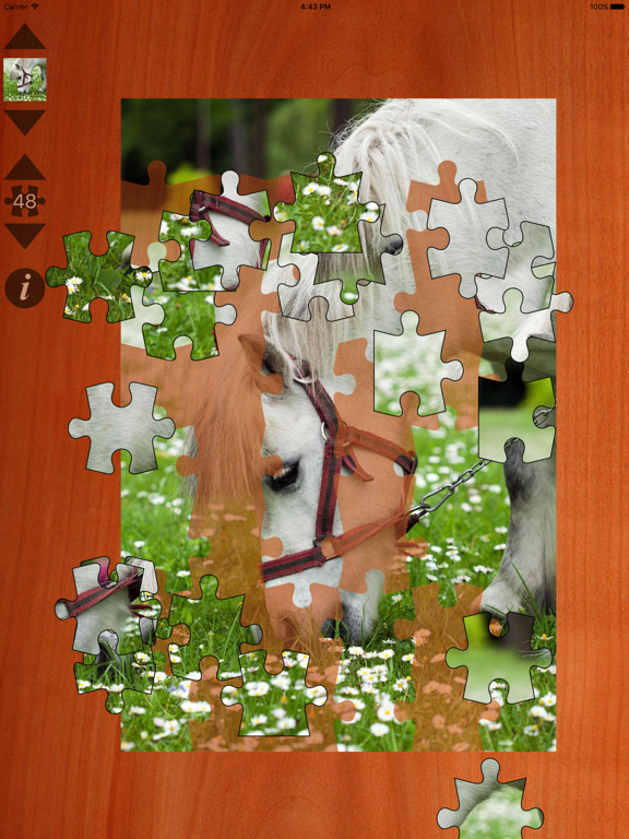 Jigsaws+ на iPad