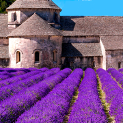 Provence's Best: Travel Guide