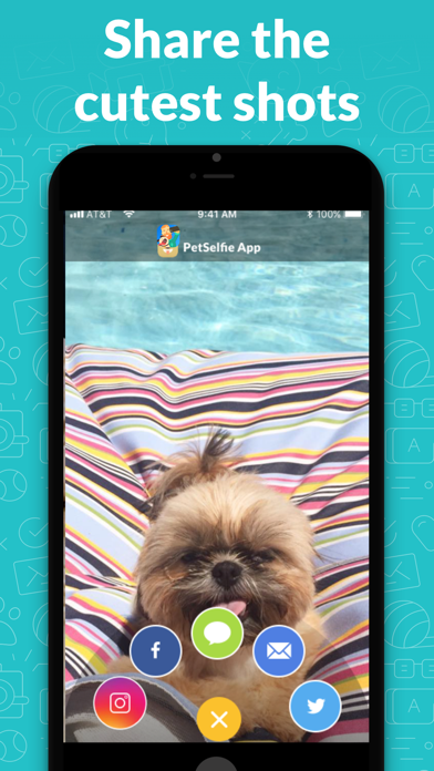 PetSelfie- DogCam and CatCam screenshot 4