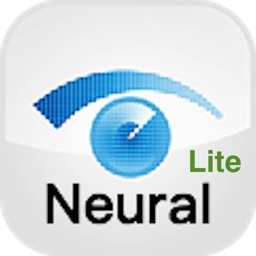 MRF Neural Lite