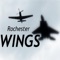 The Rochester Wings App exists to promote general aviation to Upstate New York