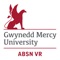 Learn about the Gwynedd Mercy University Accelerated Bachelor of Science in Nursing program in a completely new way