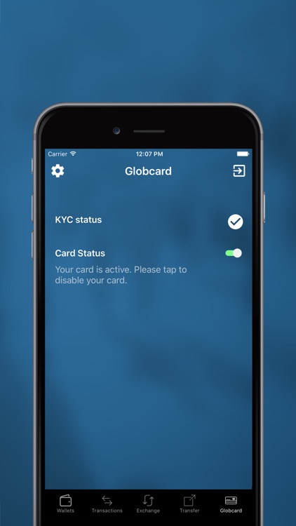 GLOBCOIN screenshot-4