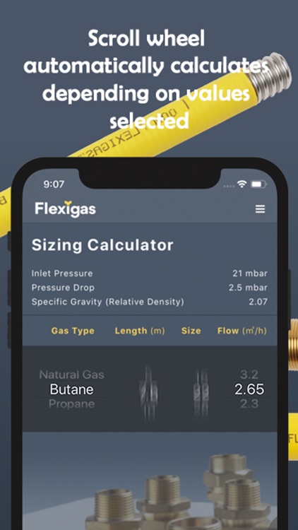 Flexigas Europe Sizing Tool