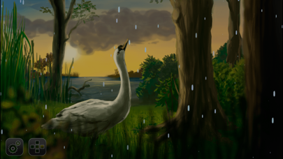 How to cancel & delete Where Do Swans Sleep? picture story book app for kids from iphone & ipad 4