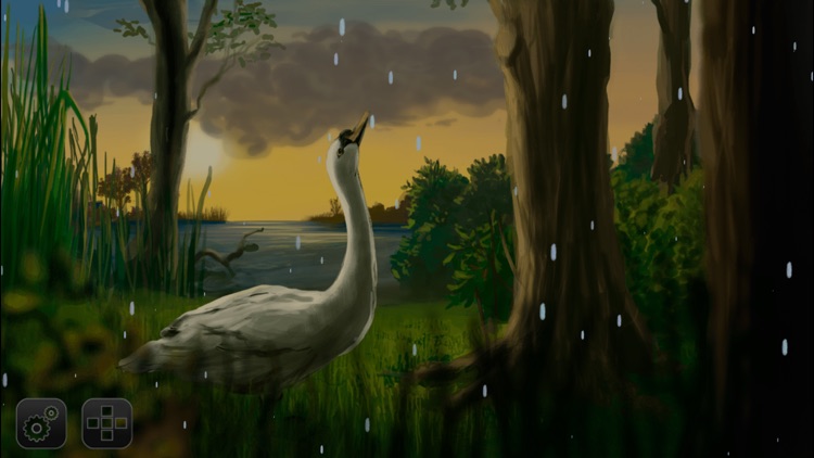 Where Do Swans Sleep? screenshot-3