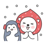 Happy bear winter special