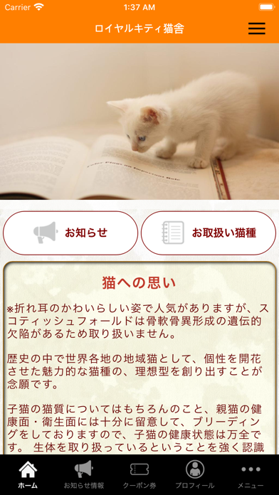 App preview