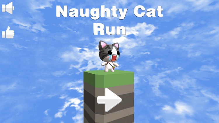 Naughty Cat Run