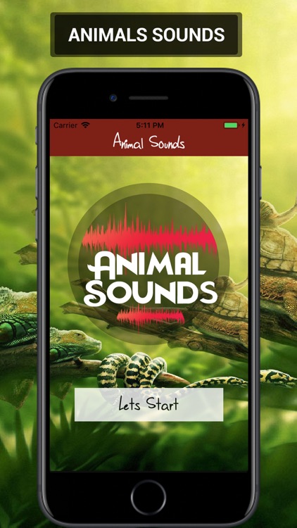 Animal Sounds 2019
