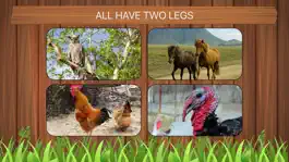 Game screenshot One Should Go - Farm Animals apk