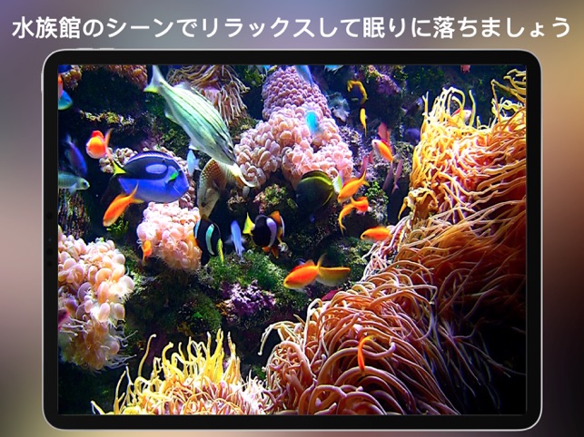 ライブ壁紙 ダイナミックな背景の天気予報 水族館と暖炉 をapp Storeで