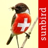 Vögel der Schweiz - Fotoguide