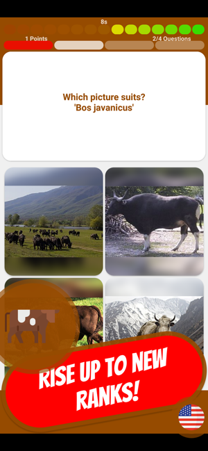 COW & BOVINE Quiz(圖7)-速報App