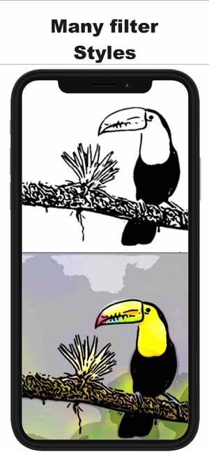 Toonist Cartoon Camera& Editor(圖3)-速報App