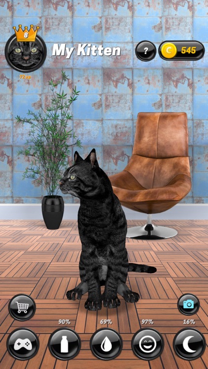 My Kitten (Cat Simulator)