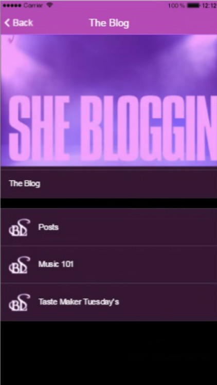 SheBloggin